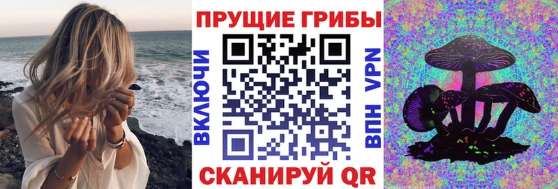 Псилоцибиновые грибы Magic Shrooms  наркотики  Красный Холм 