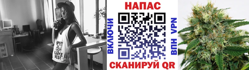 Конопля MAZAR  Красный Холм 